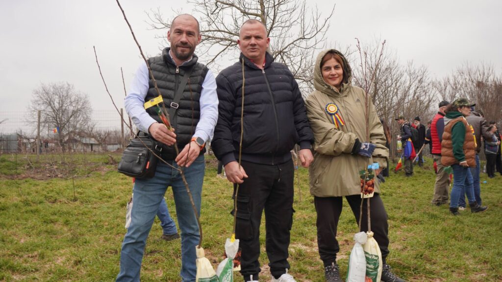 Consilierul local Mirel Todirică (AUR) a participat la o acțiune de plantare de pomi la Fierbinți-Târg, alături de locuitori din Balotești. După eveniment, acesta a plantat pomi și în Balotești, inclusiv pe strada Unirii.