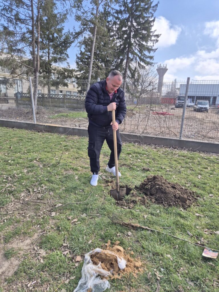 Mirel Todirică, Balotești, plantare pomi Balotești
