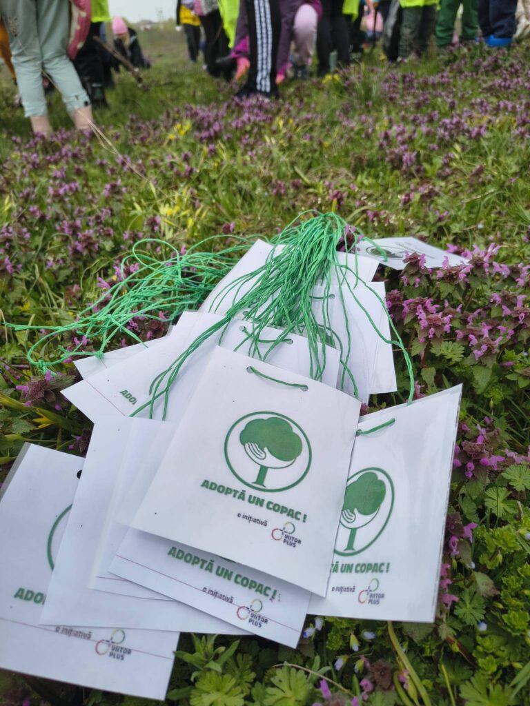 plantare arbori Balotești